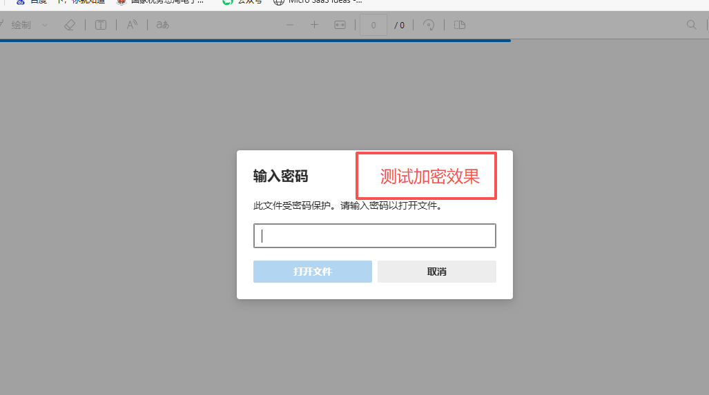 预览加密效果界面